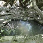 מדוע מעיינות ברמת הגולן